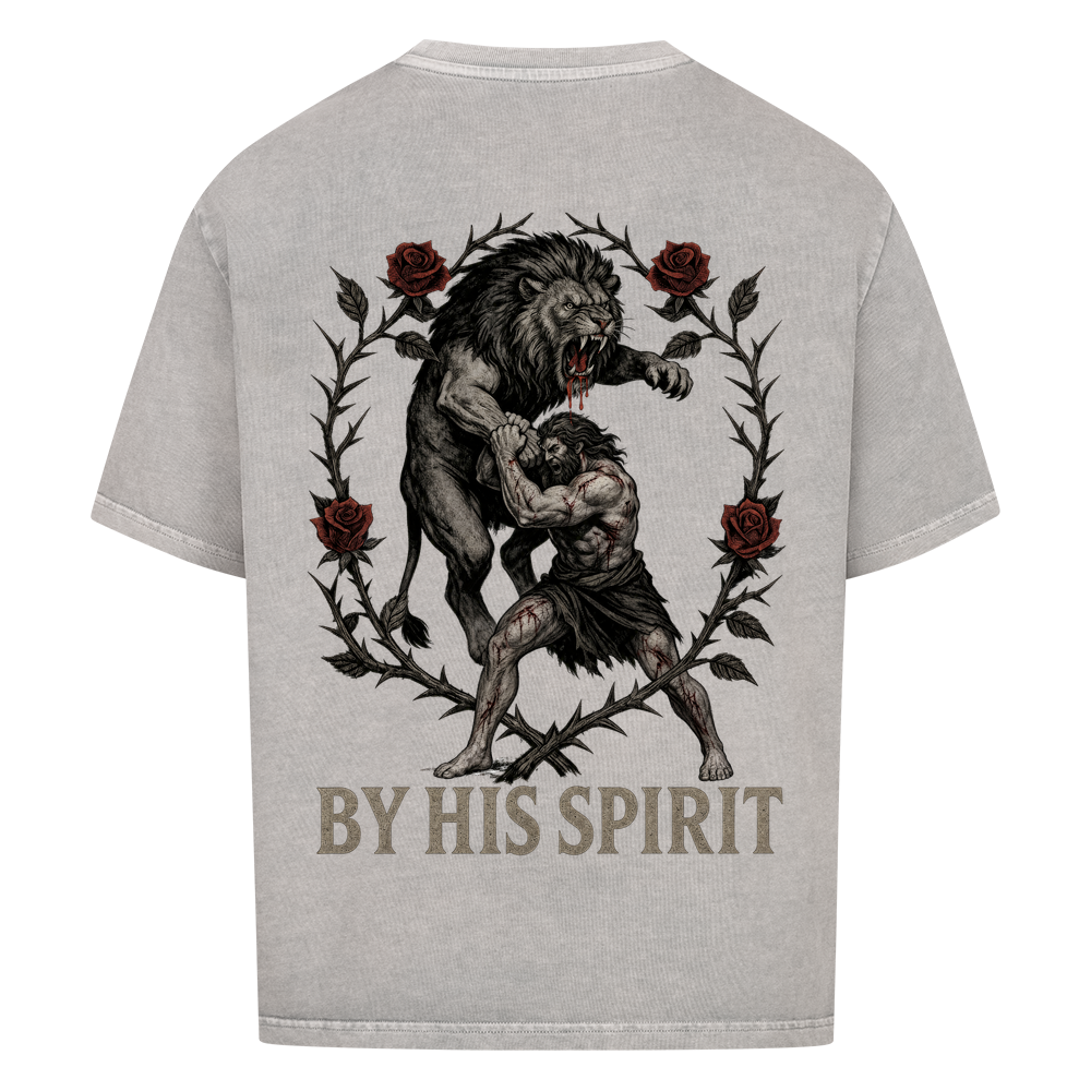 Image for color: washed grey